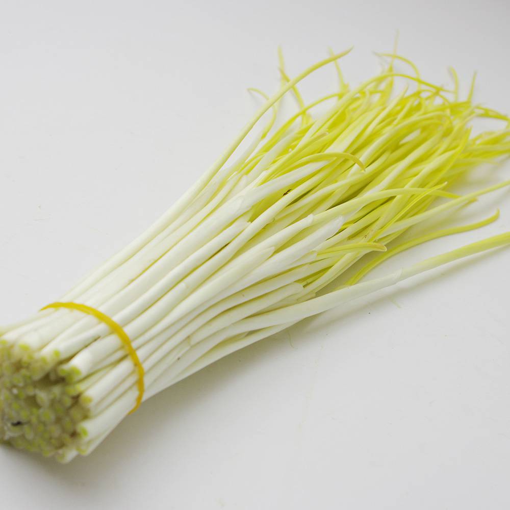 蔬菜名稱:【燎原特惠】新鮮蒜黃綠色種植綠色無公害蔬菜新鮮青菜順豐